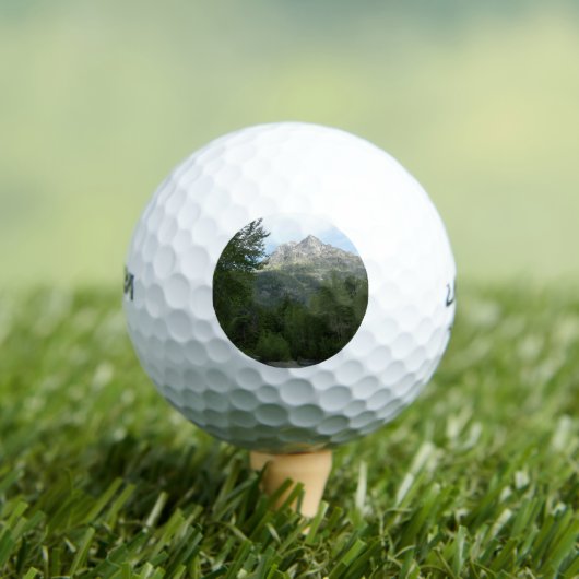 マクドナルドクリークアットグレイシャナショナルパーク ゴルフボール (インサイチュ 木)