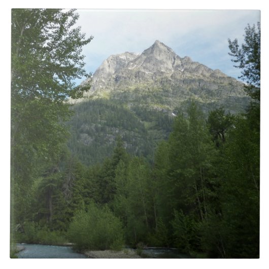 マクドナルドクリークアットグレイシャナショナルパーク タイル (正面)