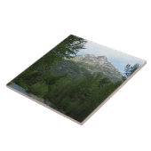 マクドナルドクリークアットグレイシャナショナルパーク タイル (側面)