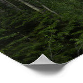 マクドナルドクリークアットグレイシャナショナルパーク ポスター (角)