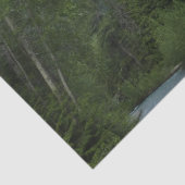 マクドナルドクリークアットグレイシャナショナルパーク 薄葉紙 (詳細)