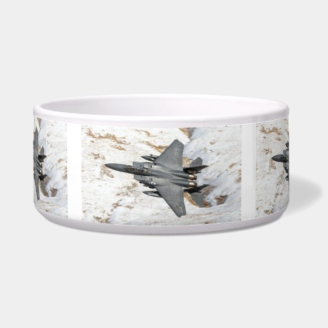 マクドネルダグラスF-15イーグル ボウル (正面)