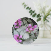 マクラタムラミウム 招待状 (スタンド正面)