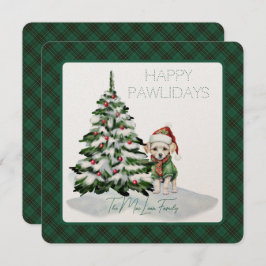 マクリーン狩り古代タータンチェックハッピーパウィデイ