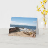 マクリー湾 カード (黄色い花)