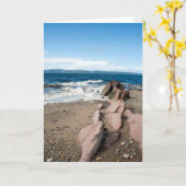 マクリー湾 カード (黄色い花)