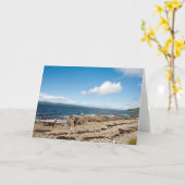 マクリー湾 カード (黄色い花)