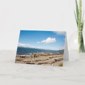 マクリー湾 カード (正面)