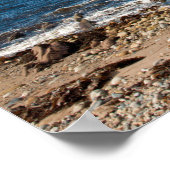 マクリー湾 ポスター (角)