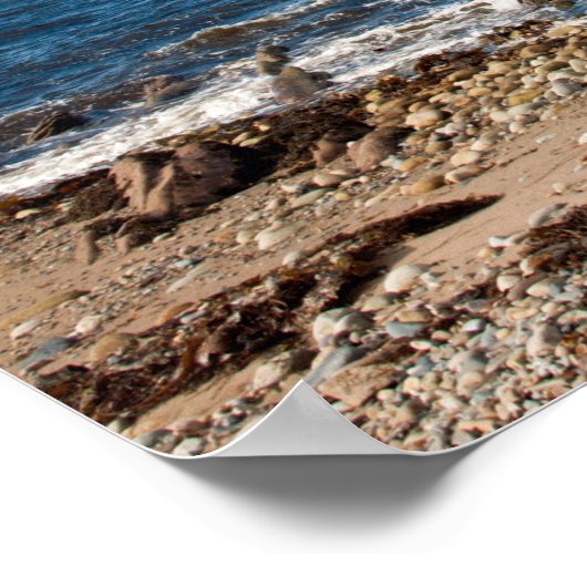 マクリー湾 ポスター (角)