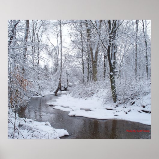 マクルーニーのスノータイム ポスター (正面)