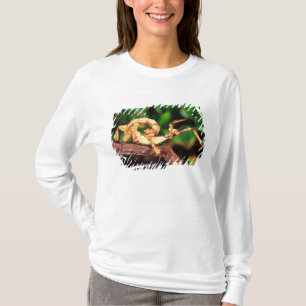 マクレアースペクトル(スパイニースティックインセクト) Tシャツ