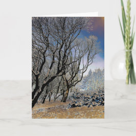 マクレスフィールドの冬 カード