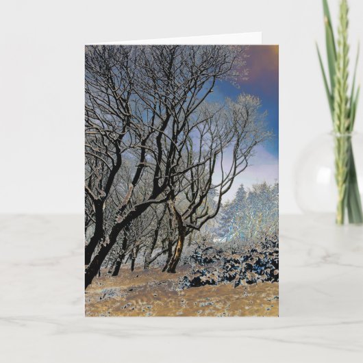 マクレスフィールドの冬 カード (正面)