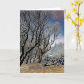 マクレスフィールドの冬 カード (黄色い花)