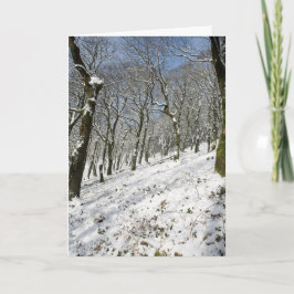 マクレスフィールドの冬 カード