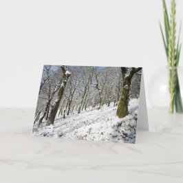 マクレスフィールドの冬 カード