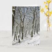 マクレスフィールドの冬 カード (黄色い花)