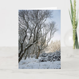 マクレスフィールドの冬 カード