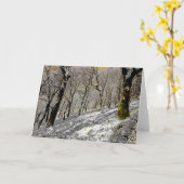 マクレスフィールドの冬 カード (黄色い花)