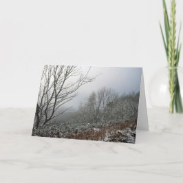 マクレスフィールドの森の冬 カード