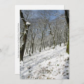 マクレスフィールドフォレストウィンターカード シーズンカード (正面/裏面)