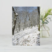 マクレスフィールドフォレストウィンターカード シーズンカード (スタンド正面)