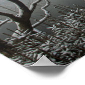 マクレスフィールドフォレストカードの冬 ポスター (角)