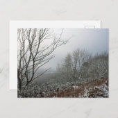 マクレスフィールドフォレストカードの冬 ポストカード (正面/裏面)