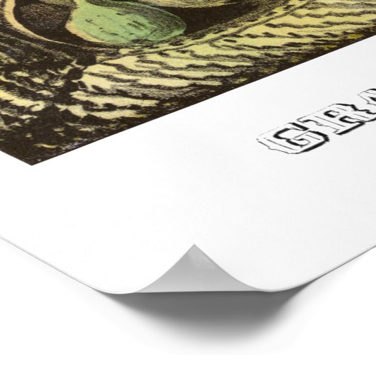 マクレランとPendletonキャンペーンポスター ポスター (角)