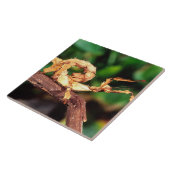 マクレーの妖精（スピニー・スティック・昆虫） タイル (側面)