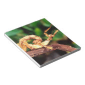 マクレーの妖精（スピニー・スティック・昆虫） ノートパッド (アングル)