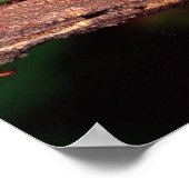 マクレーの妖精（スピニー・スティック・昆虫） ポスター (角)