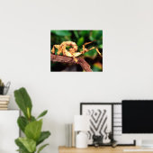 マクレーの妖精（スピニー・スティック・昆虫） ポスター (ホームオフィス)