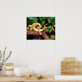 マクレーの妖精（スピニー・スティック・昆虫） ポスター (キッチン)