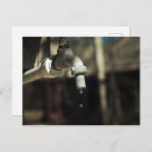 マクロの水滴 ポストカード (正面/裏面)