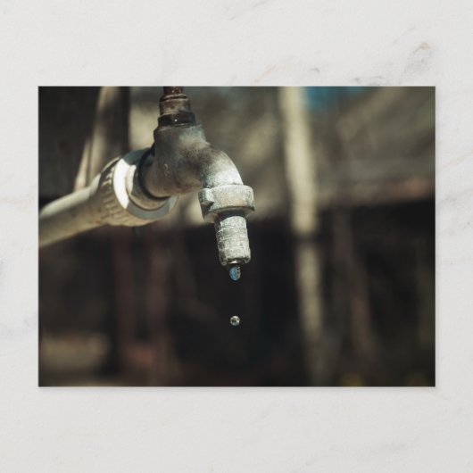 マクロの水滴 ポストカード (正面)