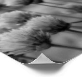 マクロのScallionsフローラ白黒プリント ポスター (角)