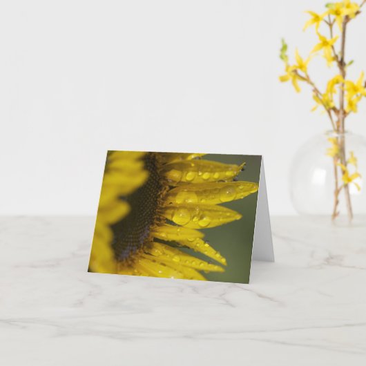 マクロひまわり カード (黄色い花)