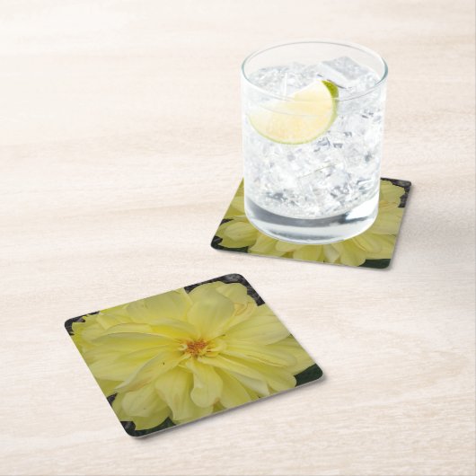 マクロイエローダリア花 スクエアペーパーコースター (インサイチュ)