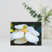 マクロイメージマグノリア花 ポストカード (スタンド正面)