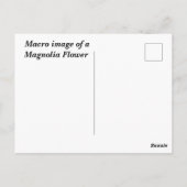 マクロイメージマグノリア花 ポストカード (裏面)