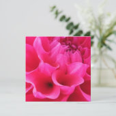 マクロクローズアップデリラフラワー カード (スタンド正面)