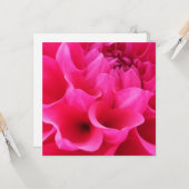 マクロクローズアップデリラフラワー カード (正面/裏面インサイチュ)