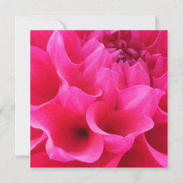 マクロクローズアップデリラフラワー カード