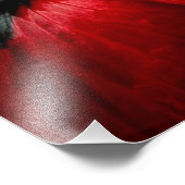 マクロクローズアップ撮影バラ フォトプリント            (角)