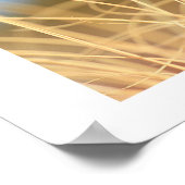 マクログラストリオ ポスター (角)