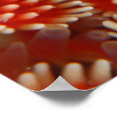 マクロシースター ポスター (角)