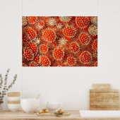 マクロシースター ポスター (キッチン)