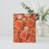 マクロシースター ポストカード (スタンド正面)